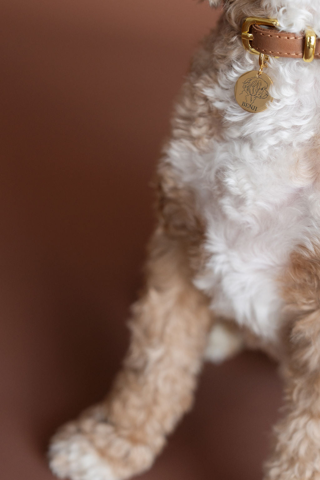 Zoom
