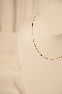 Dottie Chain